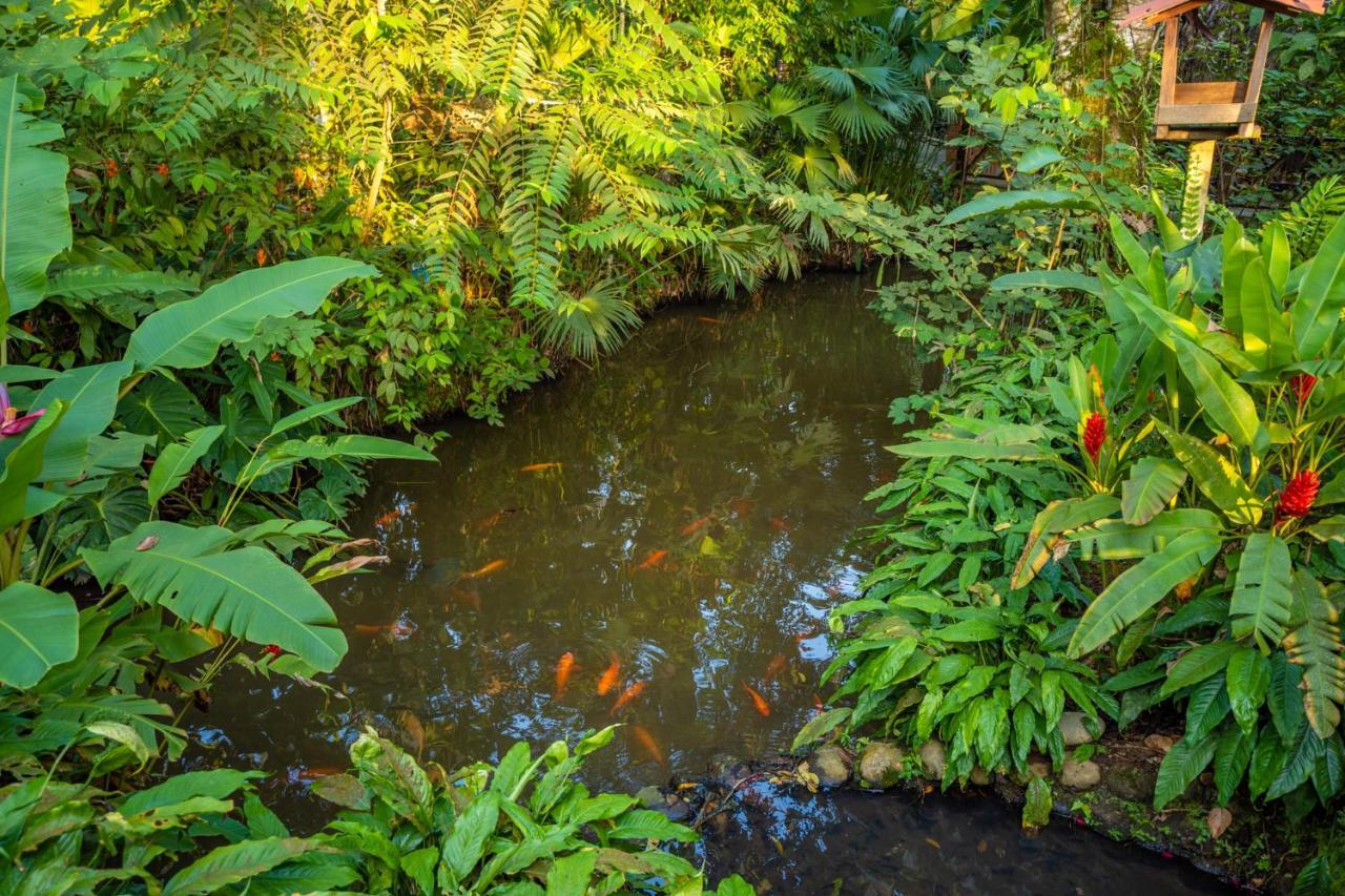 El Jardin Lodge & Spa Puerto Misahuallí Dış mekan fotoğraf